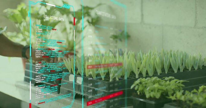 Plant researcher lifting seedlings in agriculture lab with overlay updating moisture pH temp data
