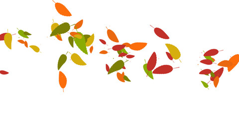 Leaves. Yellow, red, orange, brown, green colors. Scattered autumn leaves. Unusual abstract texture. Vector eps 10.