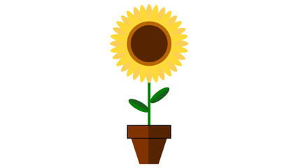 Sunflower in brown flower pot flat illustration