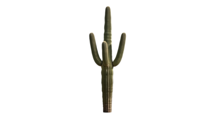Saguaro cactus stands prominently with three arms against a stark background, casting subtle shadows.