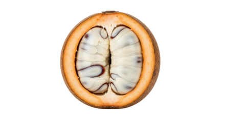 Santol fruit displays its inner pulp in a cross-sectional view, exposing the seeds within the tan colored skin.