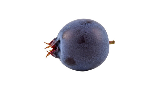 Saskatoon berry is displayed in a close up shot with dark spots on its surface against a background.