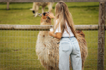 A woman pets and feeds a llama through a fence in a grassy enclosure, holding a cup while enjoying close interaction with the animal.