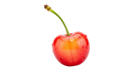 Single cherry shows a red and yellow gradient with water droplets on its surface against a isolated background.