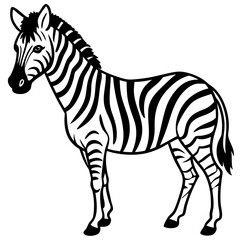 Minimal Zebra Vector Illustration