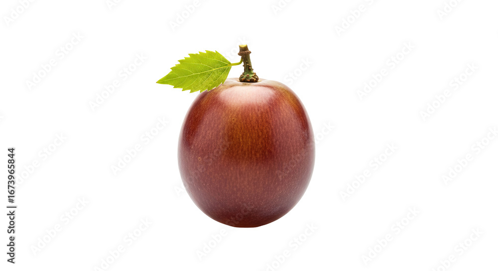 Poster single grape is positioned upright and displays a leaf with its stem against the dark .
