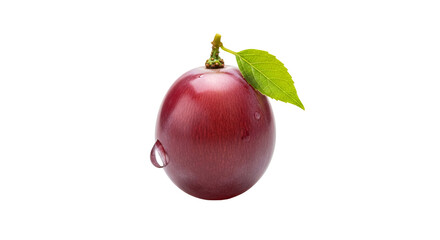 Single red grape displaying a green leaf and small water droplet stands isolated on a background.