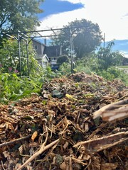 Steam rising from hot compost mulch pile – organic decomposition process