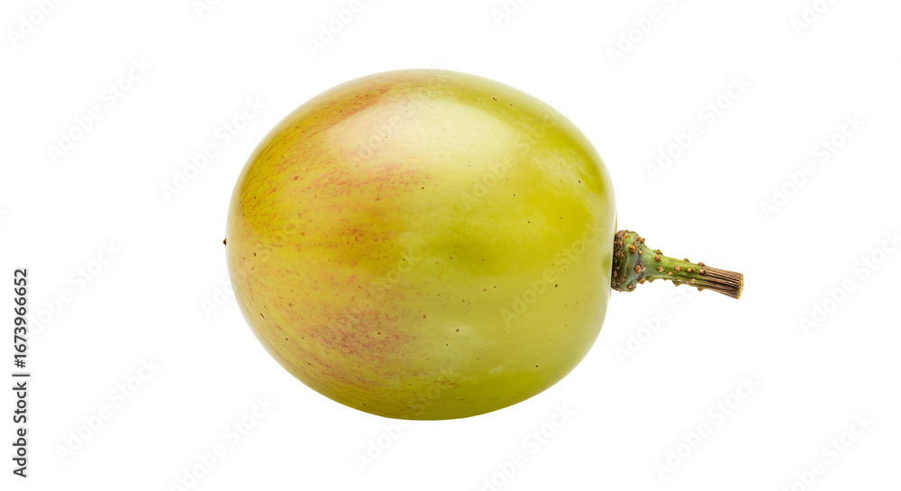Poster single green grape is displayed with its stem on a plain background. - high quality single green gra