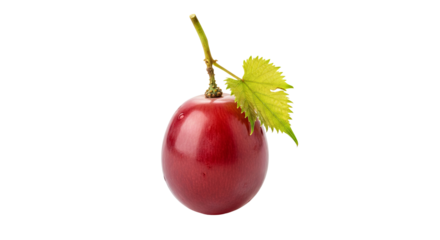 Single red grape is positioned upright, displaying a vibrant green leaf and short stem.