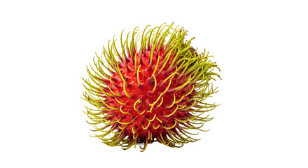 Single ripe rambutan shows red outer skin with green and yellow spines against a .