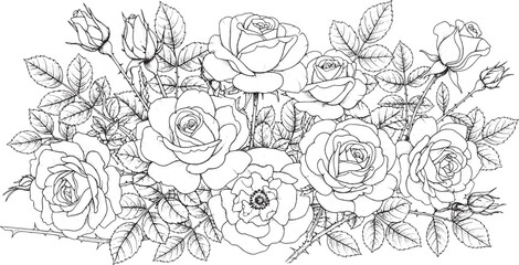 An Elegant Cluster of Blooming Rose Blossoms