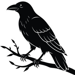 Black raven perched on a bare branch silhouette crow
