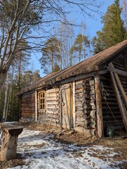 Rustic Log Cabin Surrounded by Nature in Winter Landscape