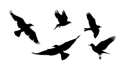Birds in flight and perched on branches silhouette