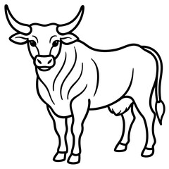 Minimalist Bull Line Art Vector