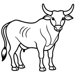 Minimalist Bull Line Art Vector
