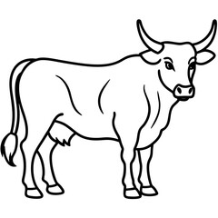 Minimalist Bull Line Art Vector