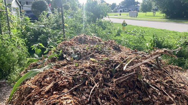 Steam rising from hot compost mulch pile &ndash; organic decomposition process