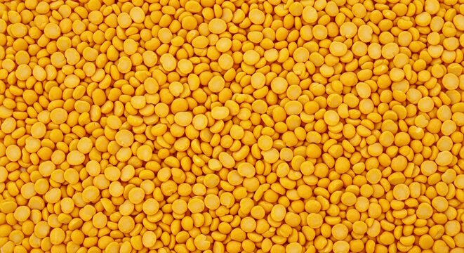 pigeon peas cajanus cajun beans dal texture background known in India as tuvar dal, toor dal, arhar dal, congo beans, cooked stew curry dal served with roti, rice, nan in Indian meal, lunch, dinner