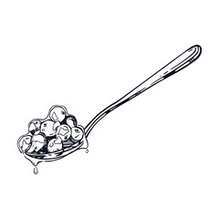 Teaspoon with viburnum berry jam, all objects are hand-drawn with ink. Vector illustration is suitable for printing on paper, fabric, packaging and shop window designs. Vector illustration
