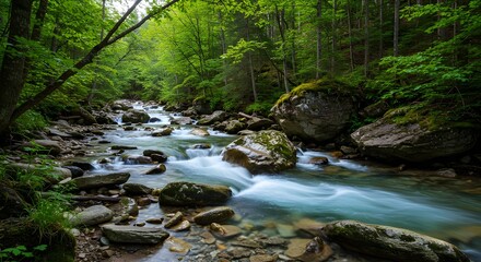 Obraz premium Beautiful mountain forest river flowing between rocks and trees