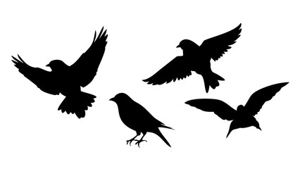 Sparrows in flight birds flying