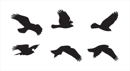Collection of six flying bird silhouettes isolated on white background, showcasing various poses and movements of birds in flight against the sky