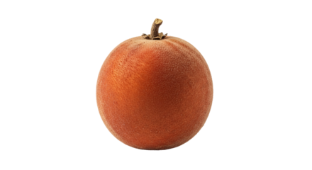 Woolly Sapote fruit presents its round shape and fuzzy texture against a plain .