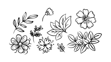 Whimsical floral and leaf doodles leaves cartoon