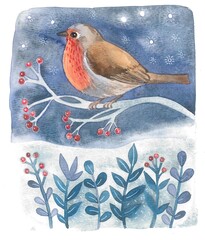 Watercolor illustration. Robin bird and branches with berries. A wonderful drawing for your print.