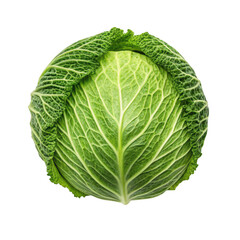 Fototapeta premium Savoy cabbage isolated on transparent background