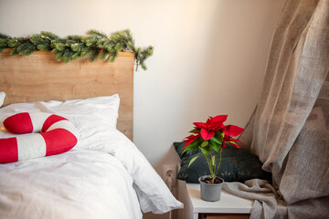 Christmas spirit filling the bedroom, featuring a vibrant poinsettia, a whimsical candy cane...