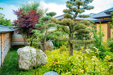 beautiful natural scenic picture with green grass, neat lawn, stones and green trees, bushes,...