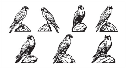 Fototapeta premium Illustration of falcons perched on rocks, isolated on white background, showcasing their majestic features and predatory nature in a minimalist design