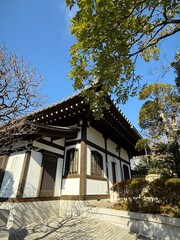 traditional chinese house