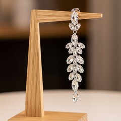Long crystal earrings 