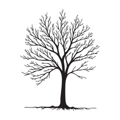 Obraz premium silhouette of bare tree branch black on white