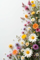 Fototapeta premium A vibrant arrangement of various colorful flowers on a bright background, showcasing nature's beauty and diversity.