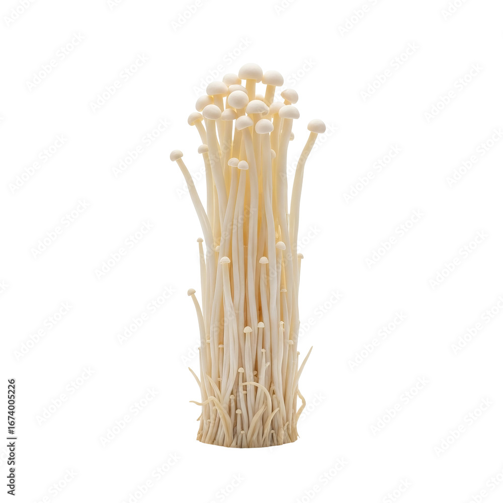 Poster enoki mushrooms stand vertically in a dense cluster with pale, slender stems and tiny caps against a