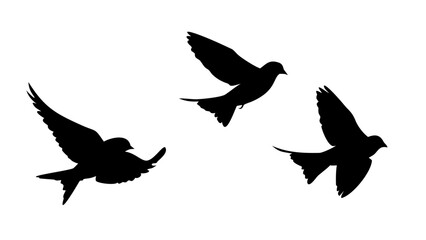 Fototapeta premium Black silhouette of a person playing a guitar musician music