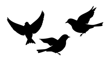 Black silhouette of a man playing guitar musician music