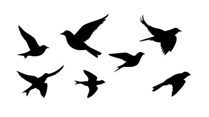 Flock of Crows in Flight Silhouette black birds
