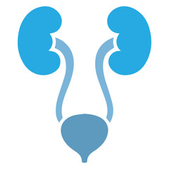 human renal system, kidney and bladder silhouette icon