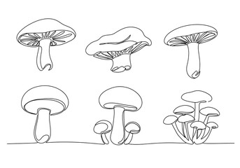 Fungal Forms: A Line's Embrace