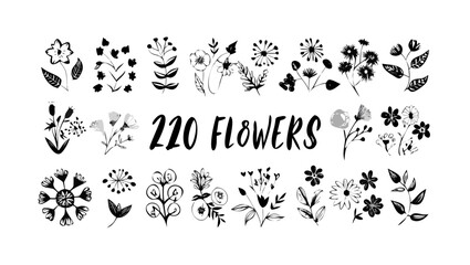 Hand Drawn Floral Elements In Black And White botanical nature