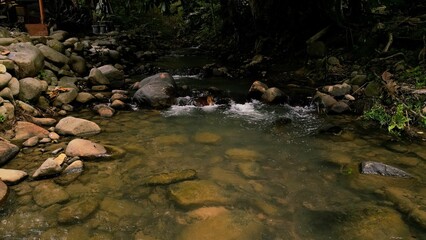 Scenic river with flowing water, rocks, trees, underwater view and sun reflection