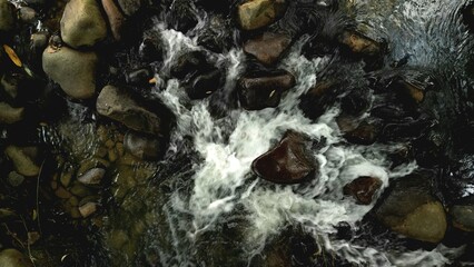 Scenic river with flowing water, rocks, trees, underwater view and sun reflection