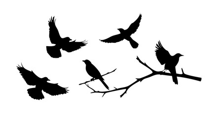 Obraz premium Minimalist black silhouette of a dog's head on a white background animal canine