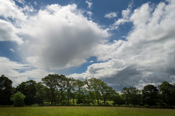 Naklejka premium A cotton wool cloud over Leslie Hill In County Antrim, Northern Ireland 
